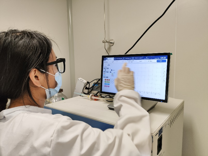 子宫内膜类器官