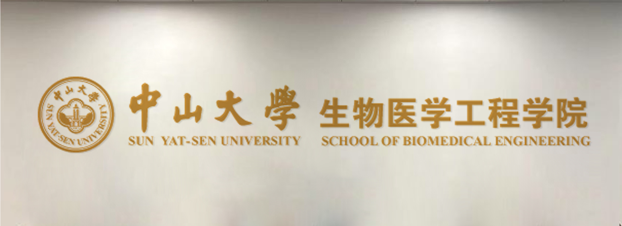 子宫内膜类器官