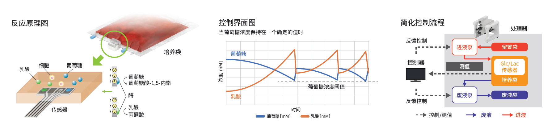 自动培养装置