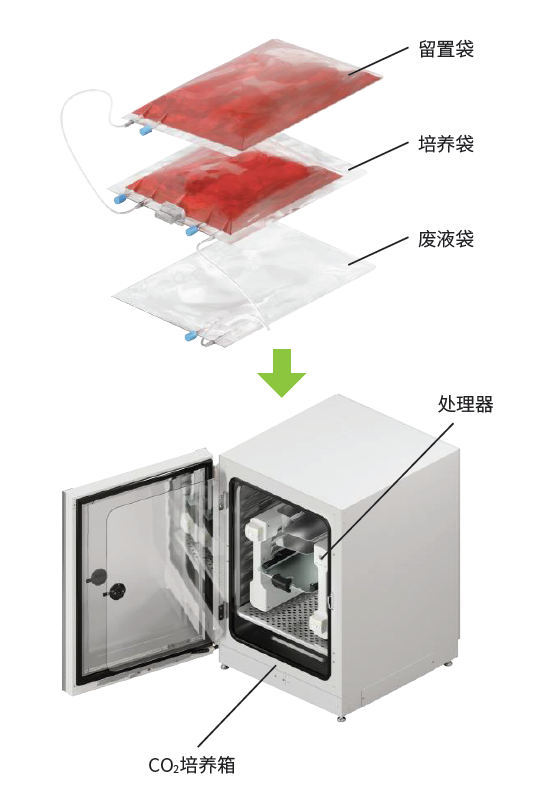 自动培养装置