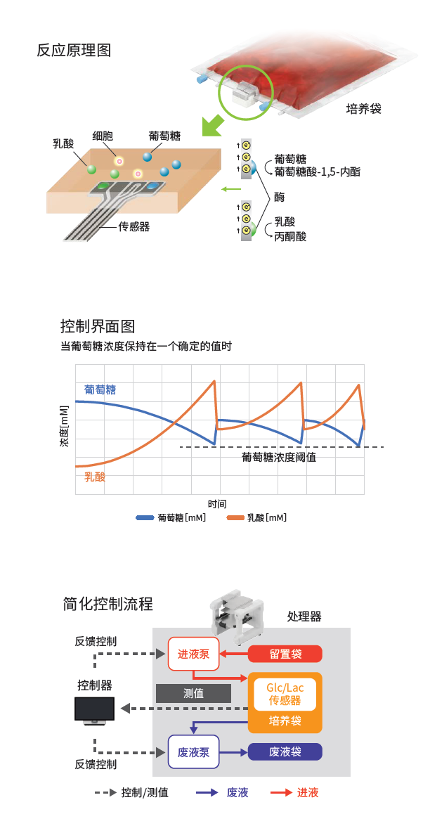 自动培养装置